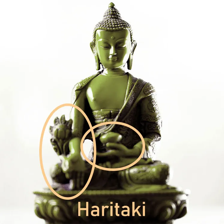 Haritaki Buddha